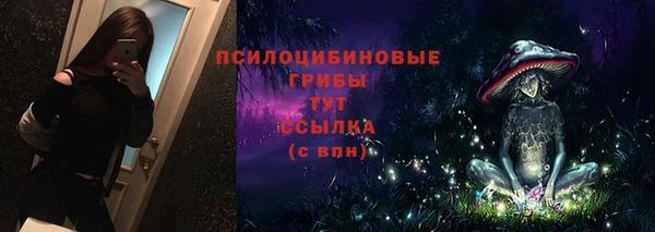 спиды Волосово