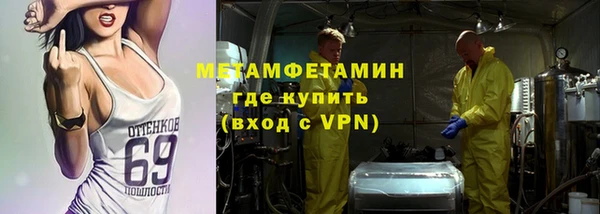 индика Володарск