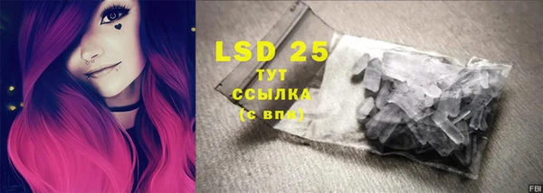 спиды Волосово