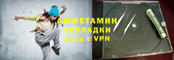 индика Володарск