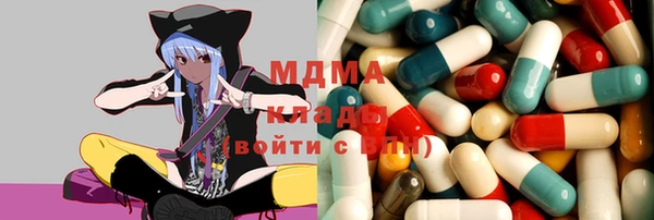 индика Володарск