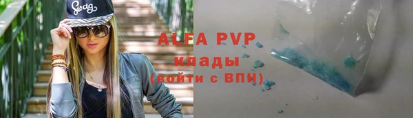 индика Володарск