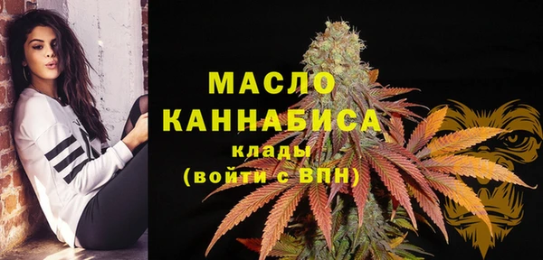 индика Володарск