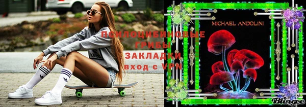 индика Володарск