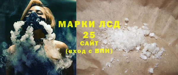 индика Володарск