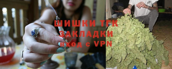 индика Володарск