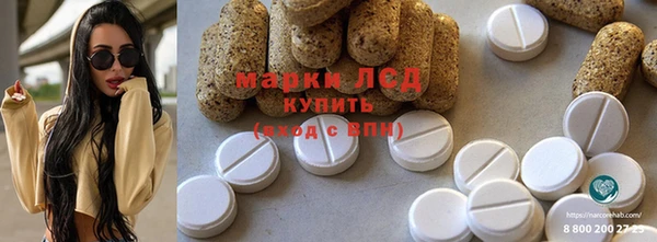 индика Володарск