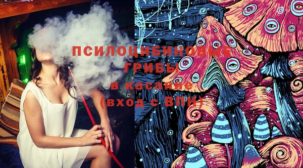 спиды Волосово
