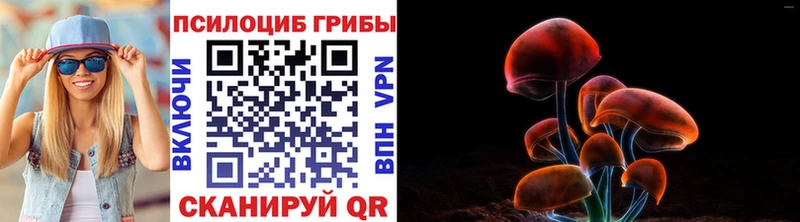 где купить наркотик  Зеленодольск  Псилоцибиновые грибы мухоморы 
